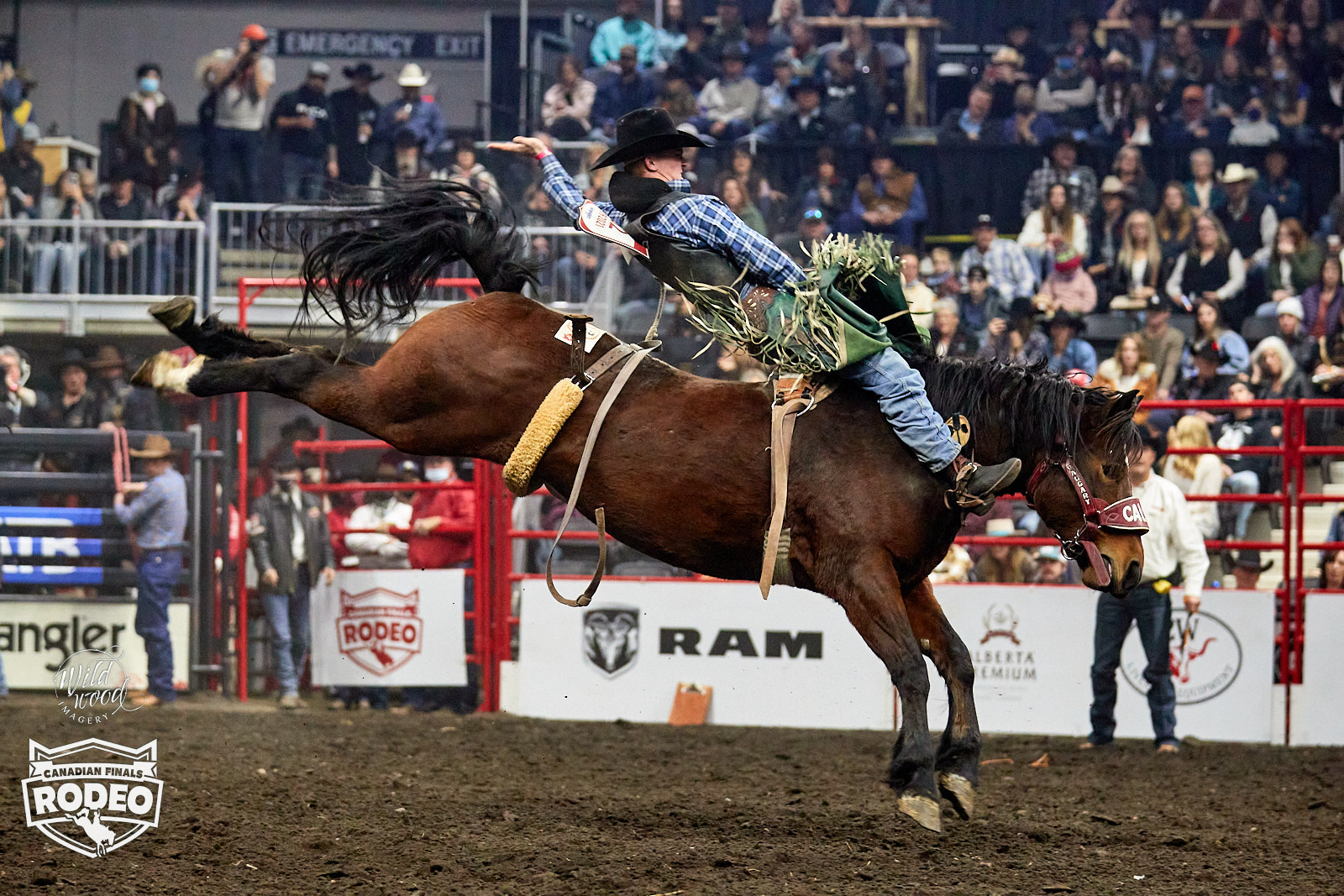 Canadian Finals Rodeo - CFR 47 - wildwoodimagery.ca