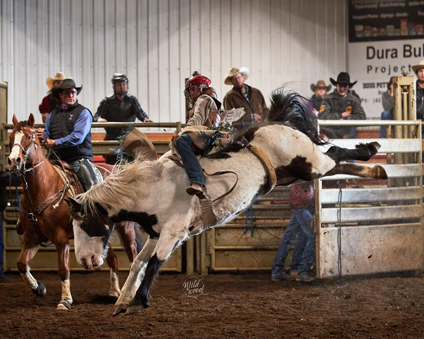 Hs Rodeo 2022 Stettler JR & HS Rodeo - wildwoodimagery.ca