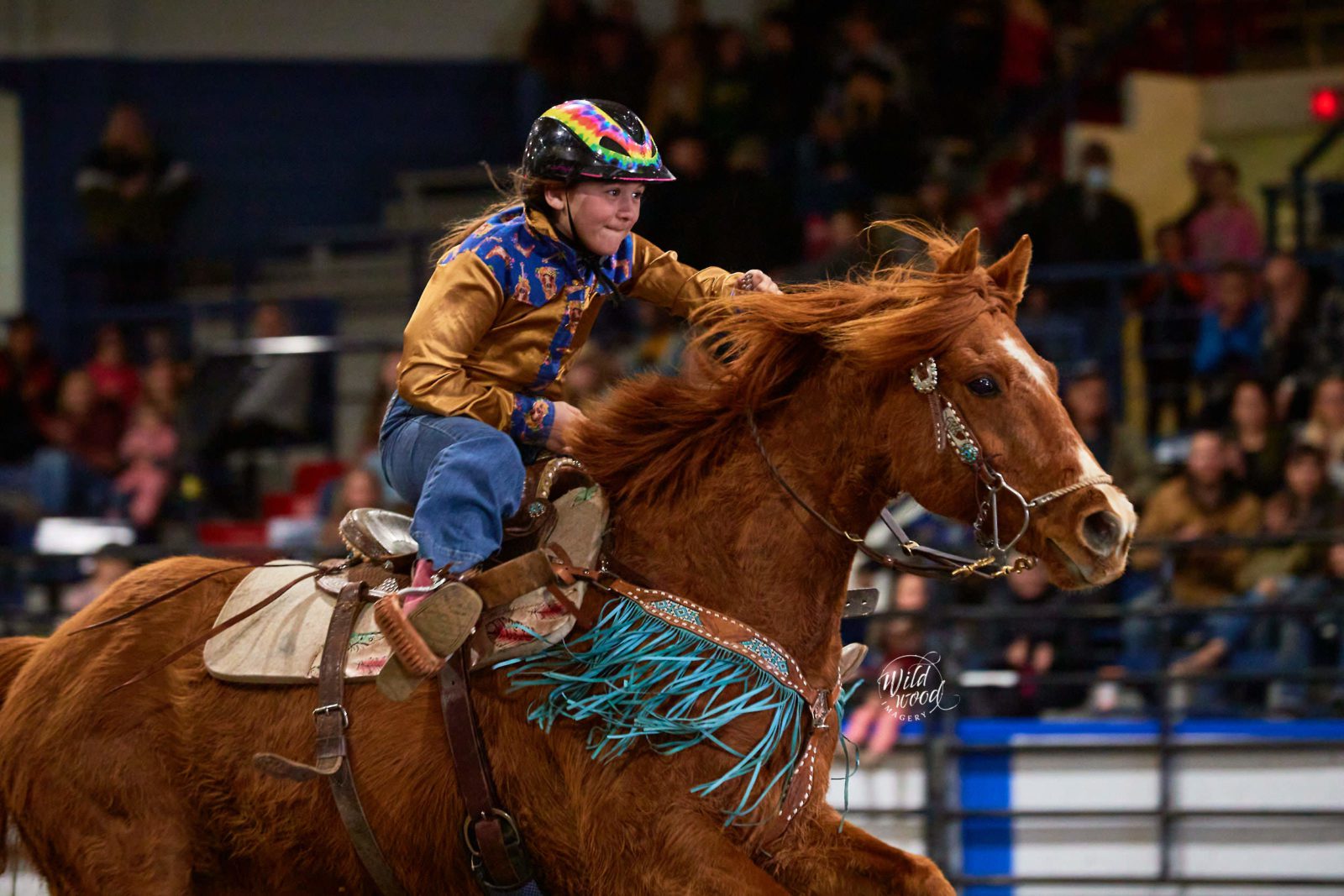 2022 Tisdale Rambler Rodeo wildwoodimagery.ca