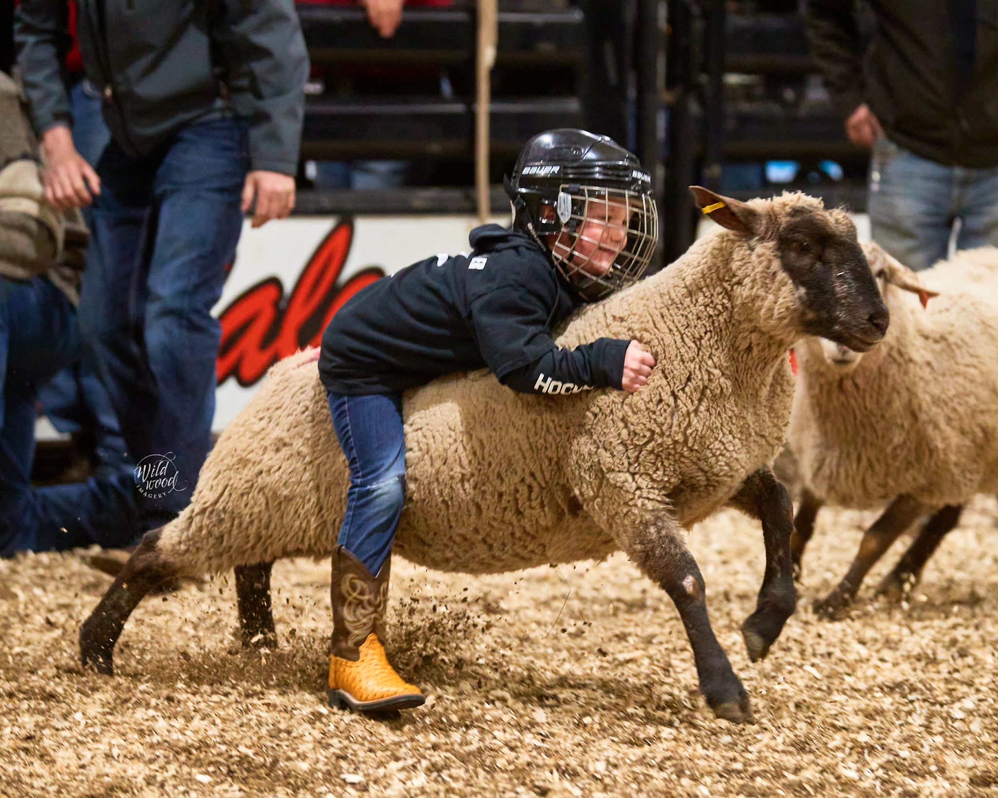 2022 Tisdale Rambler Rodeo wildwoodimagery.ca