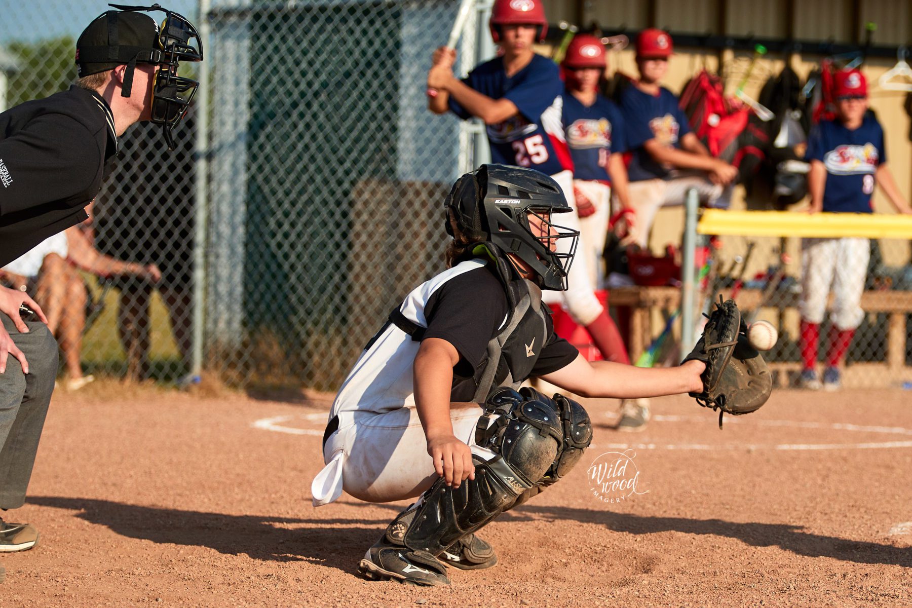 2022 Alberta Baseball U13 AA Tier 1 Provincials wildwoodimagery.ca