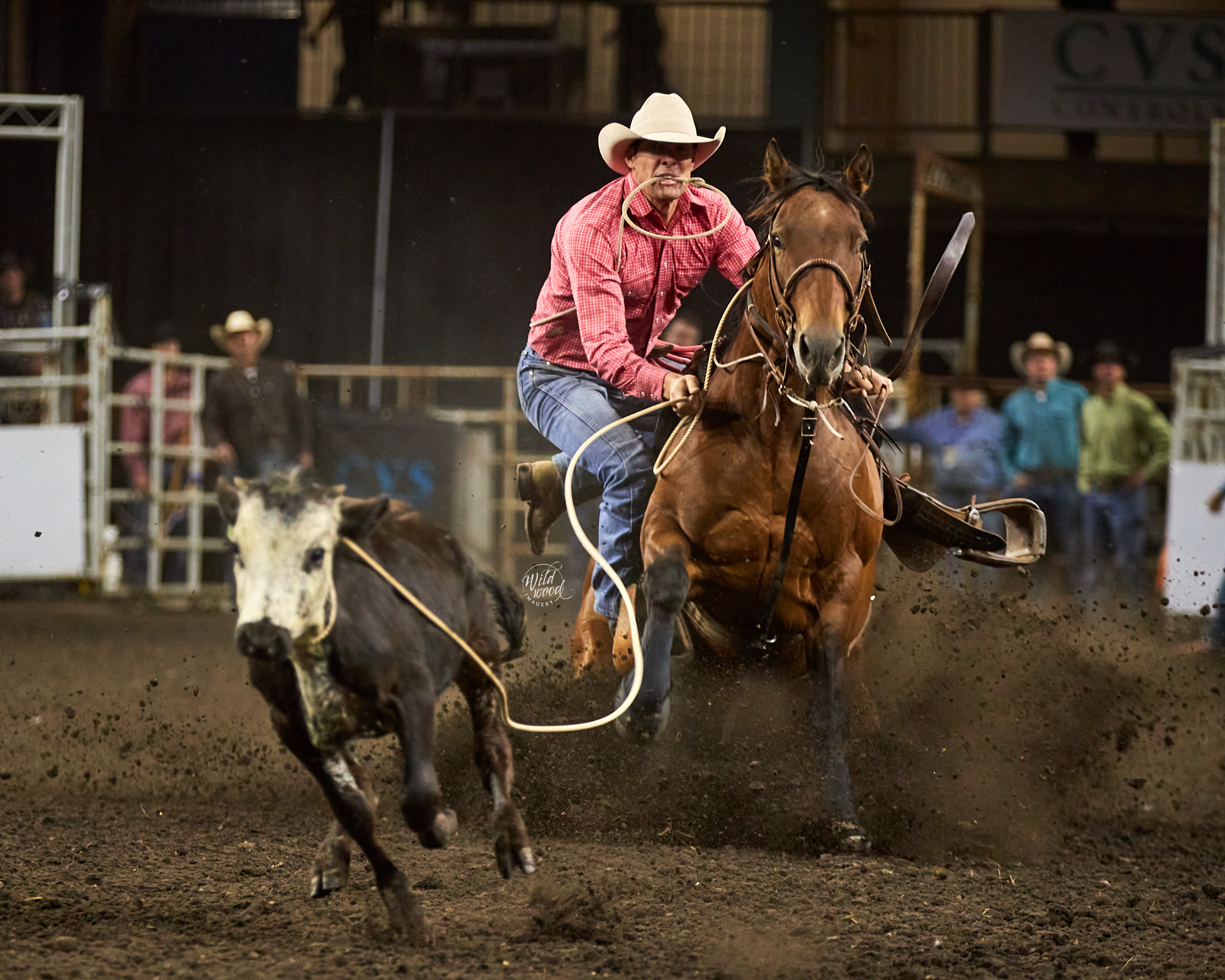 2022 Edmonton Pro Rodeo - wildwoodimagery.ca