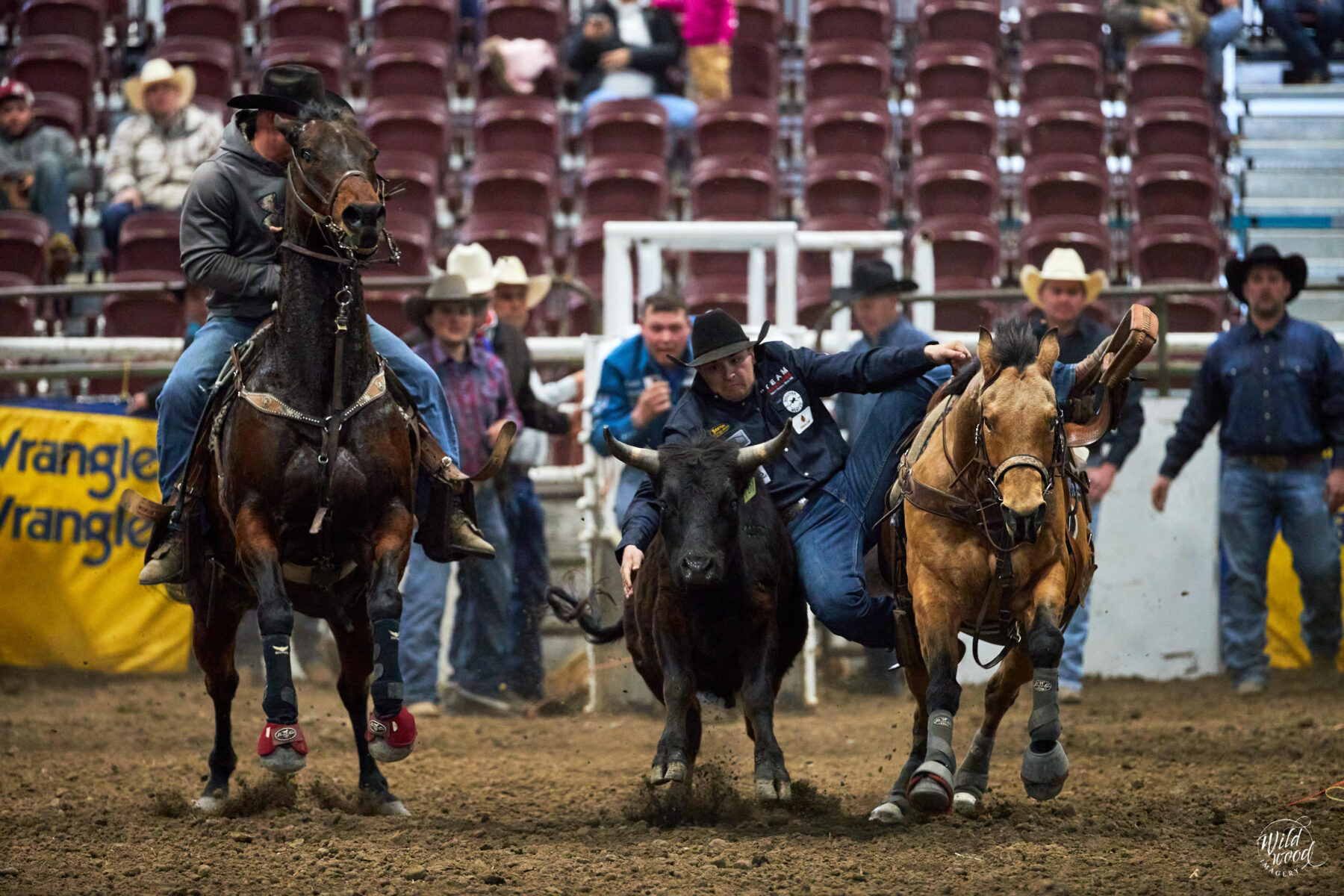 2023 Medicine Hat Spring Rodeo - wildwoodimagery.ca