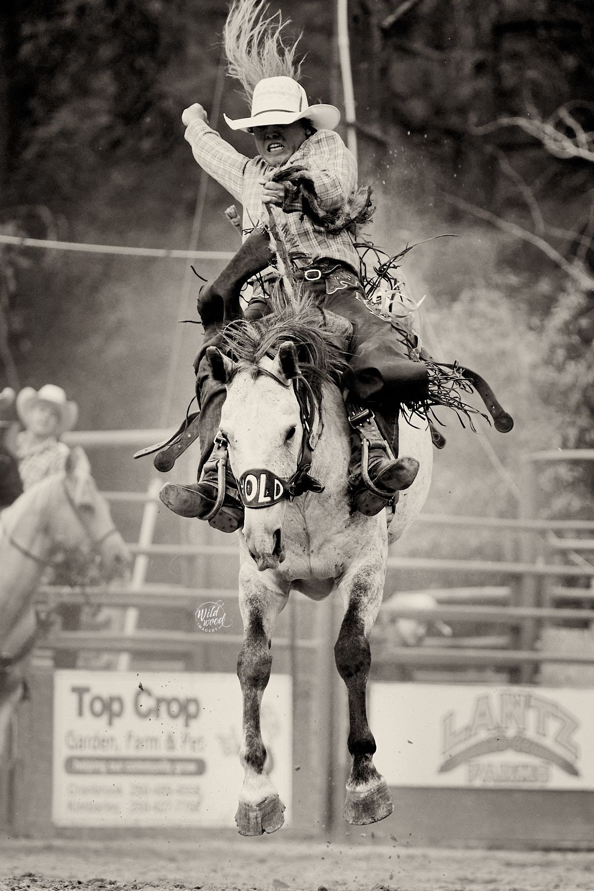 Cranbrook Rodeo 2023 Cranbrook Pro Rodeo - wildwoodimagery.ca
