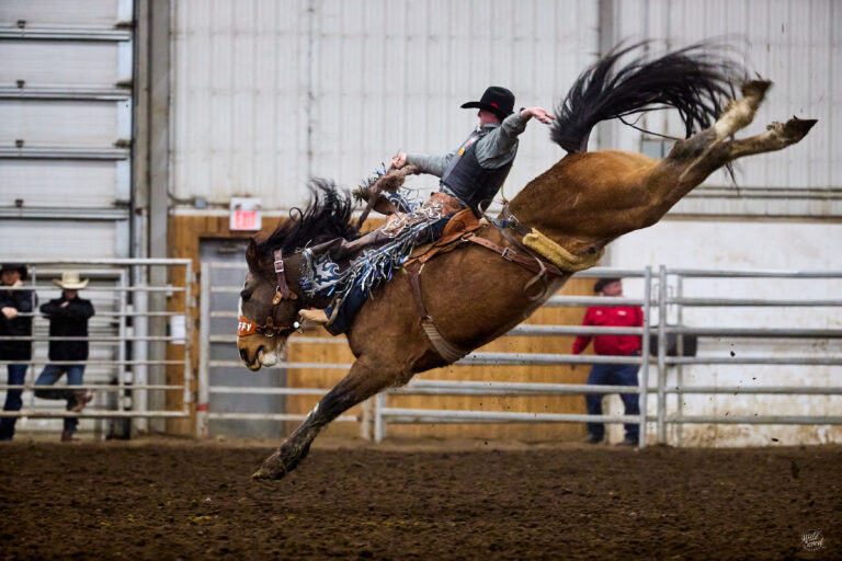 Blog - wildwoodimagery.ca