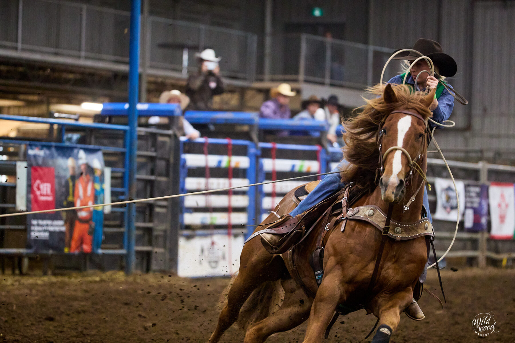 2025 Canadian College Rodeo Association Finals - wildwoodimagery.ca